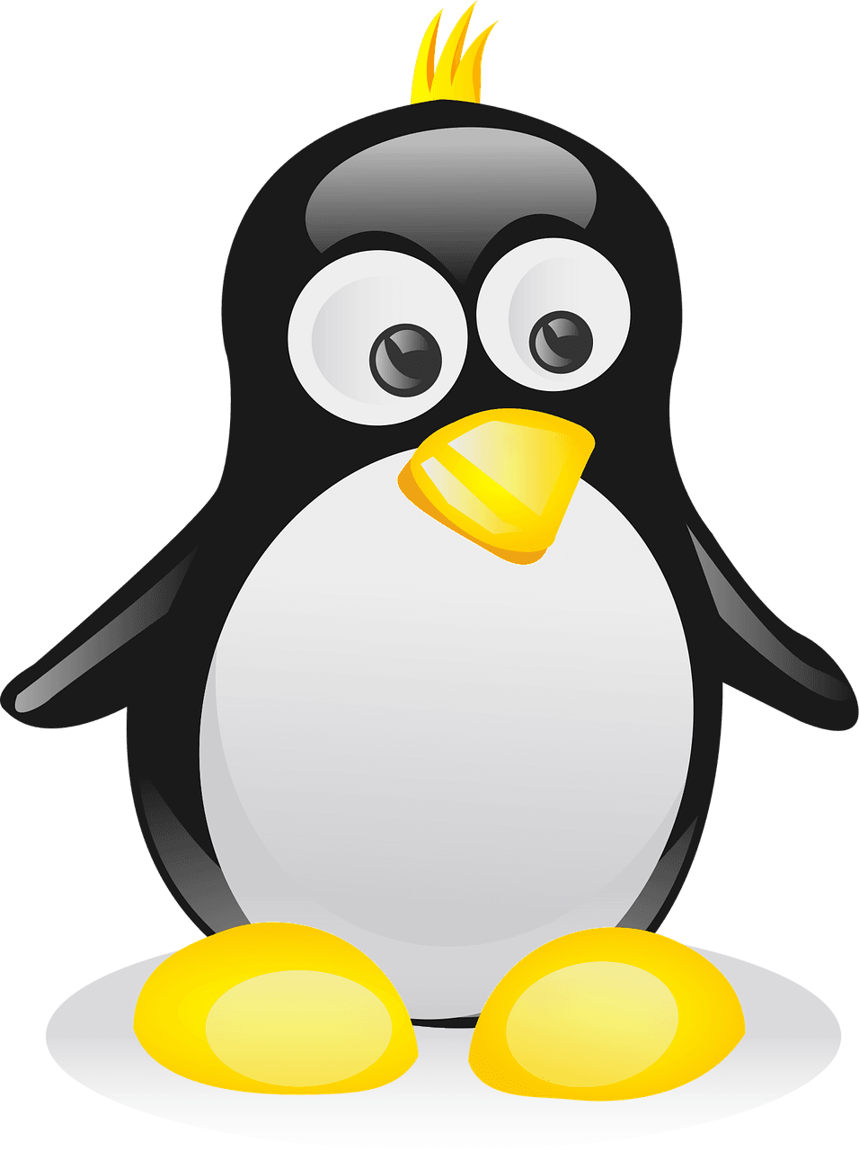 Illustration personnalisée par artiste digital professionnel